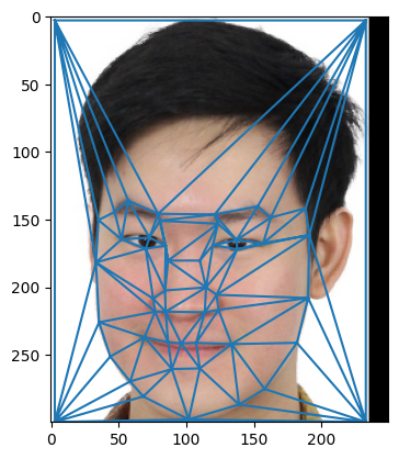 My face shape