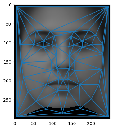 Average face shape