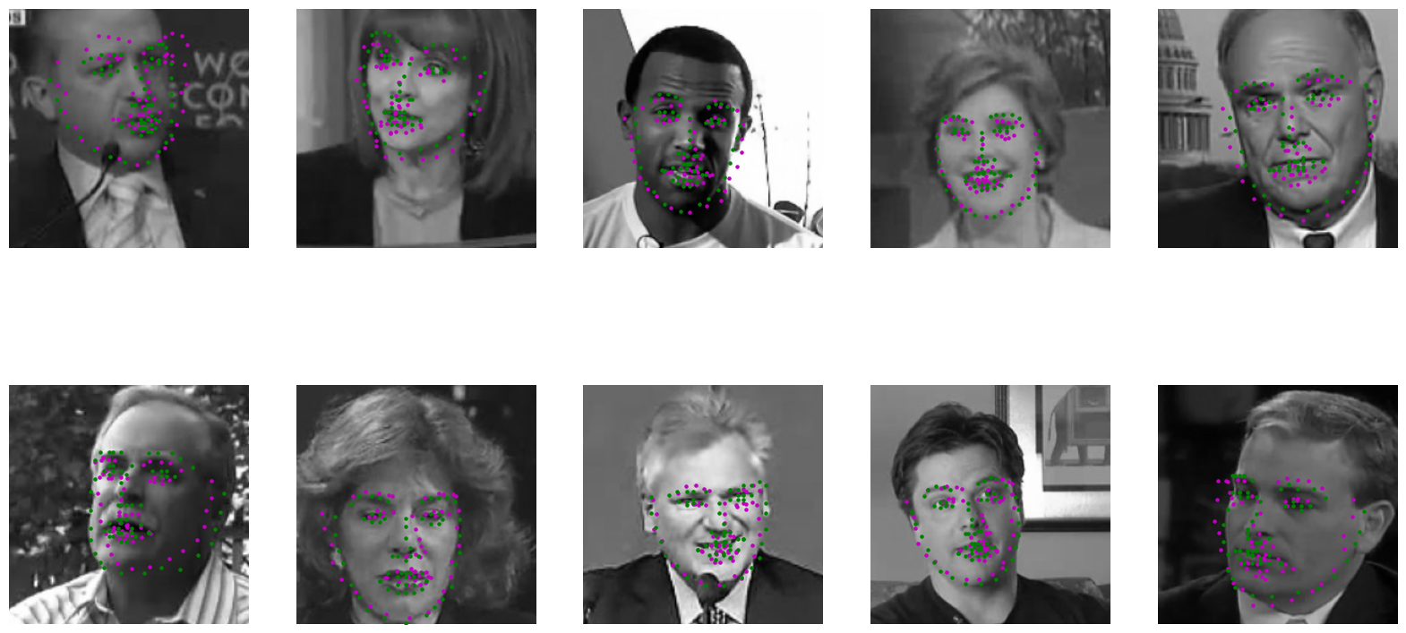 Test Image Predictions